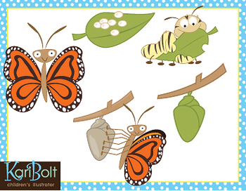 Preview of Butterfly Life Cycle Free Clip Art