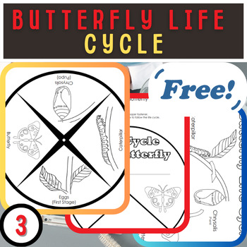 Preview of Butterfly Life Cycle: Free Worksheets for Learning and Discovery