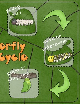 Butterfly Life Cycle {From Caterpillar to Butterfly a Non-Fiction ...