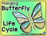 Butterfly Life Cycle Hanging Poster