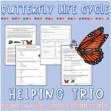Butterfly Life Cycle Helping Trio
