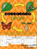 Butterfly Life Cycle {Informational Text, Printables, Cut 