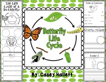 Preview of Butterfly Life Cycle {Informational Writing Packet}