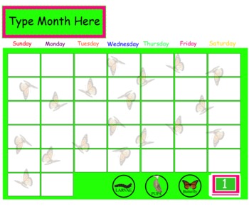 Preview of Butterfly Life Cycle Interactive Calendar
