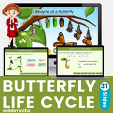 Butterfly Life-Cycle Interactive Digital Resources for 1st