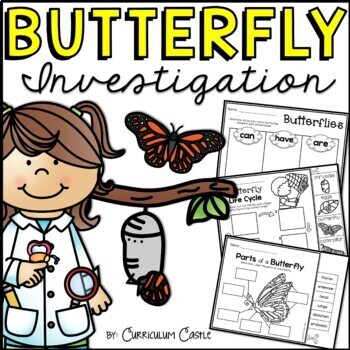 Preview of Butterfly Life Cycle Investigation