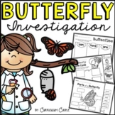 Butterfly Life Cycle Investigation