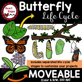 Preview of Butterfly Life Cycle Clipart DIGITAL AND PRINT ALLOWED (MOVEABLE)