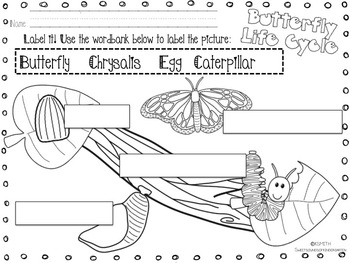 Butterfly Life Cycle!- Mini Science Unit by Sweet Sounds of Kindergarten