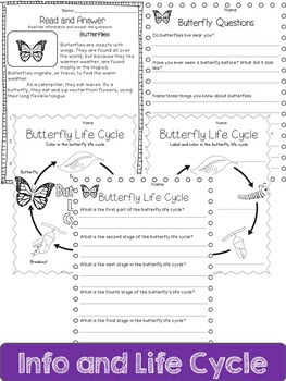 Butterfly Life Cycle: Mini Unit by Journey of a Substitute Teacher