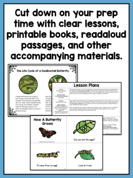 Butterfly Life Cycle Unit for Preschool, Kindergarten, or First Grade