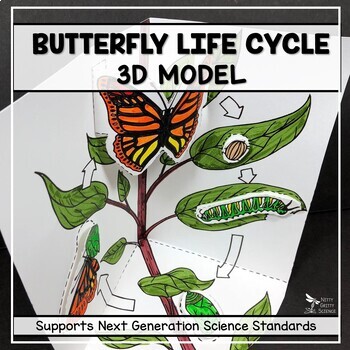 Butterfly Life Cycle Model - 3D Model by Nitty Gritty Science | TPT