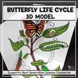 Butterfly Life Cycle Model - 3D Model