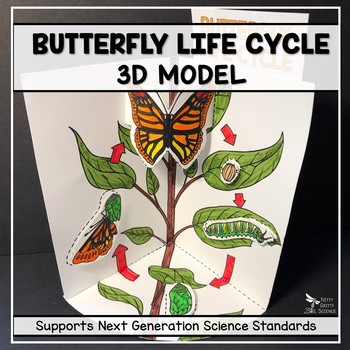 Download Butterfly Life Cycle Model 3d Model Distance Learning Tpt