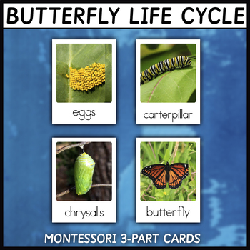 Butterfly Life Cycle | Montessori 3-Part Cards | Science Vocabulary ...