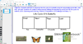 Butterfly Life Cycle Moveable Smartboard Pictures