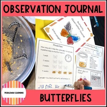Preview of Butterfly Life Cycle Observation Journal and Activities