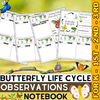 Preview of Butterfly Life Cycle Observations Notebook | life cycle of a butterfly | Spring