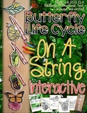 Butterfly on a String: Butterfly Life Cycle Create, Facts,