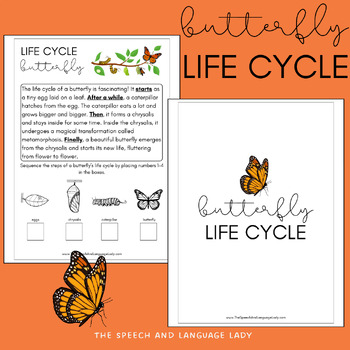 Preview of Butterfly Life Cycle Packet