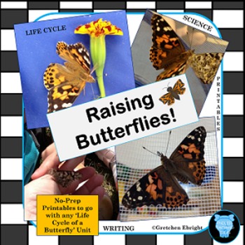Preview of Butterfly Life Cycle Packet- Science - Raising Butterflies in the Classroom