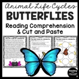Butterfly Life Cycle Reading Comprehension Worksheet and C
