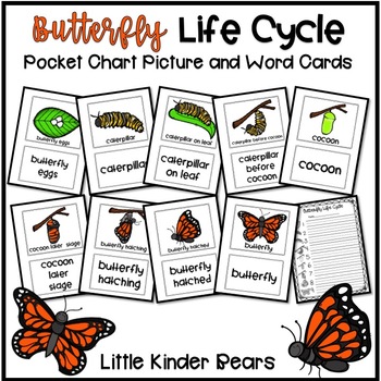 Cards Of Life Chart
