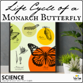 Butterfly Life Cycle Poster: Life Cycle of a Monarch Butte