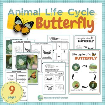 Butterfly Life Cycle: Posters, Matching Cards, Worksheet, Cut & Paste