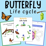 Butterfly Life Cycle Art Activity