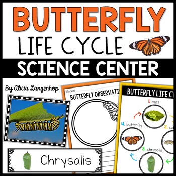 Butterfly Life Cycle Preschool Spring Themed Science Center by MsKinderhop