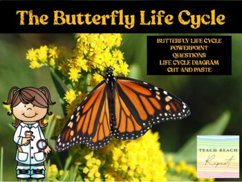Preview of Butterfly Life Cycle Presentation