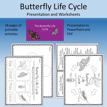 Preview of Butterfly Life Cycle Presentation and Activities