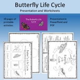 Butterfly Life Cycle Presentation and Activities