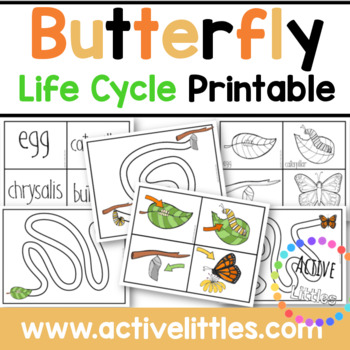 Preview of Butterfly Life Cycle Printable