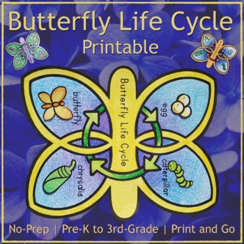 Preview of Butterfly Life Cycle Printable | No Prep Template | Caterpillar Coloring Craft