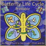 Butterfly Life Cycle Printable | No Prep Template | Caterp