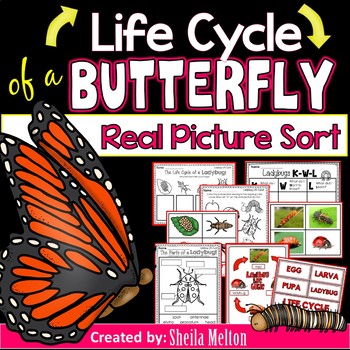 Preview of Butterfly Life Cycle Printables, Activities, Sorts, Science Notebook Activities