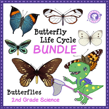 Preview of BUNDLE: Diary of a Butterfly - Research and Writing