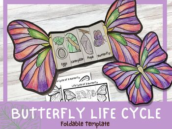 Preview of Butterfly Life Cycle Science Craft Worksheets