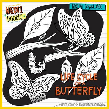 Preview of Butterfly Life Cycle Science Doodle Clipart