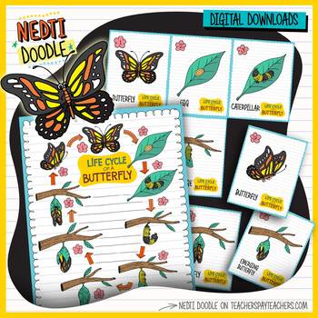 Preview of Butterfly Life Cycle Science Doodle Clipart Blue Borders