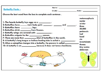 butterfly life cycle science worksheets by mzat tpt