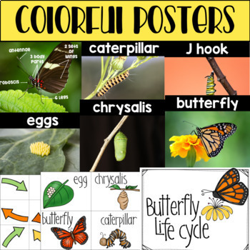 Butterfly Life Cycle Science Unit Nonfiction Informational Text