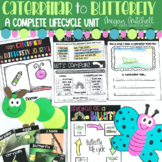 Butterfly Life Cycle Science Activities & Learning Journal