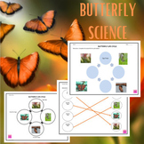 Butterfly Life Cycle Science Worksheets