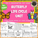 Butterfly Life Cycle Science Worksheets Butterflies PreK K