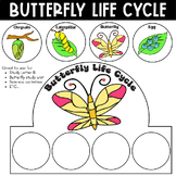 Butterfly Life Cycle Sequencing Caterpillar Crown Hat Head