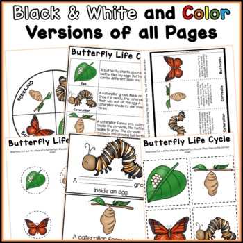 Butterfly Life Cycle Sequencing No Prep Activity Unit Differentiated