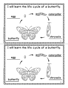 Butterfly Life Cycle Student Observation Books by The Scattered SLP